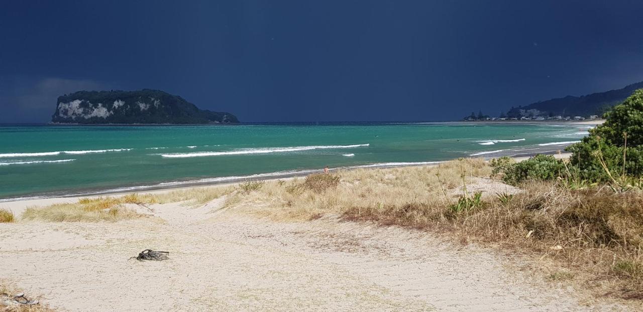 Heron'S Nest Whangamata Eksteriør billede